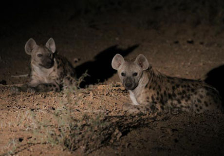 tour guide course in namibia