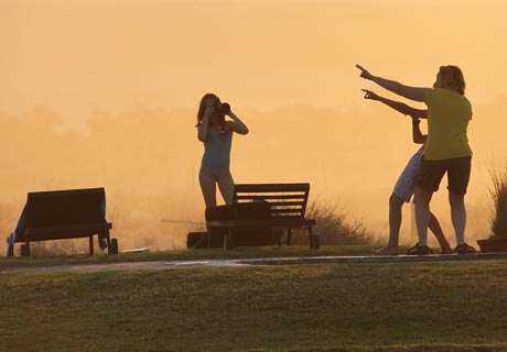 tour guide course in namibia