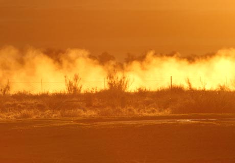 tour guide course in namibia