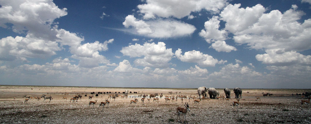 tour guide course in namibia